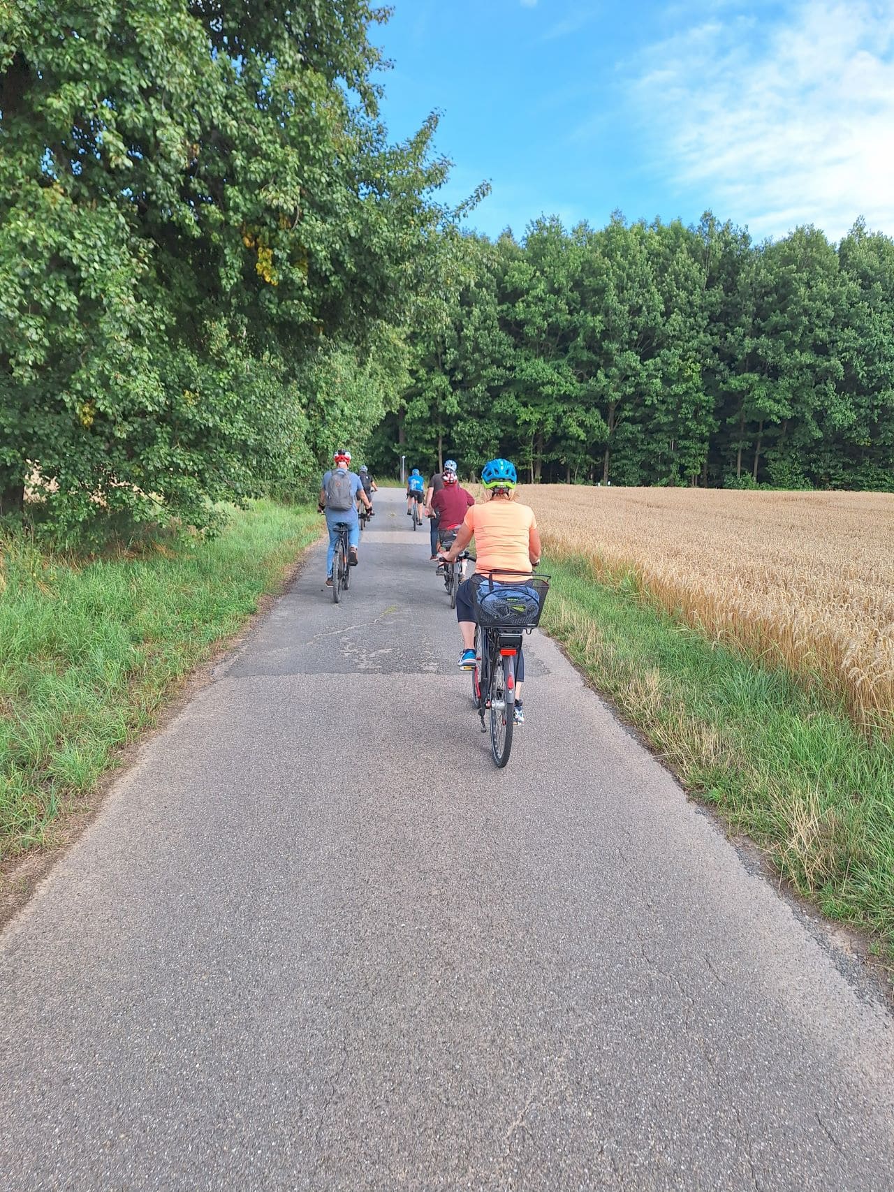 Mehrere Radfahrer von hinten auf einem Feldweg zwischen Wiese und Weizenfeld.